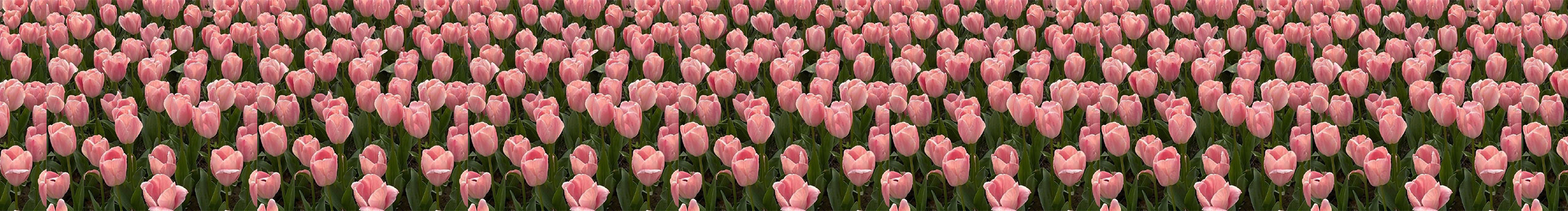 吴奈的个人主页（封面预览） - 主页封面设置 - 站酷设计师吴奈原创素材 - 站酷ZCOOL