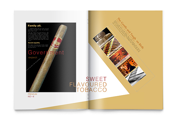 大丈夫画册（2008年大学期间创作）（图ZMTY1MTE0NzM2） - 书籍/画册 - 站酷设计师疯浪子野狗原创素材 - 站酷ZCOOL