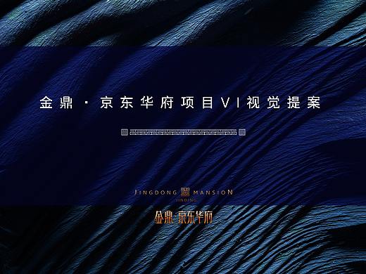 华府视觉提报