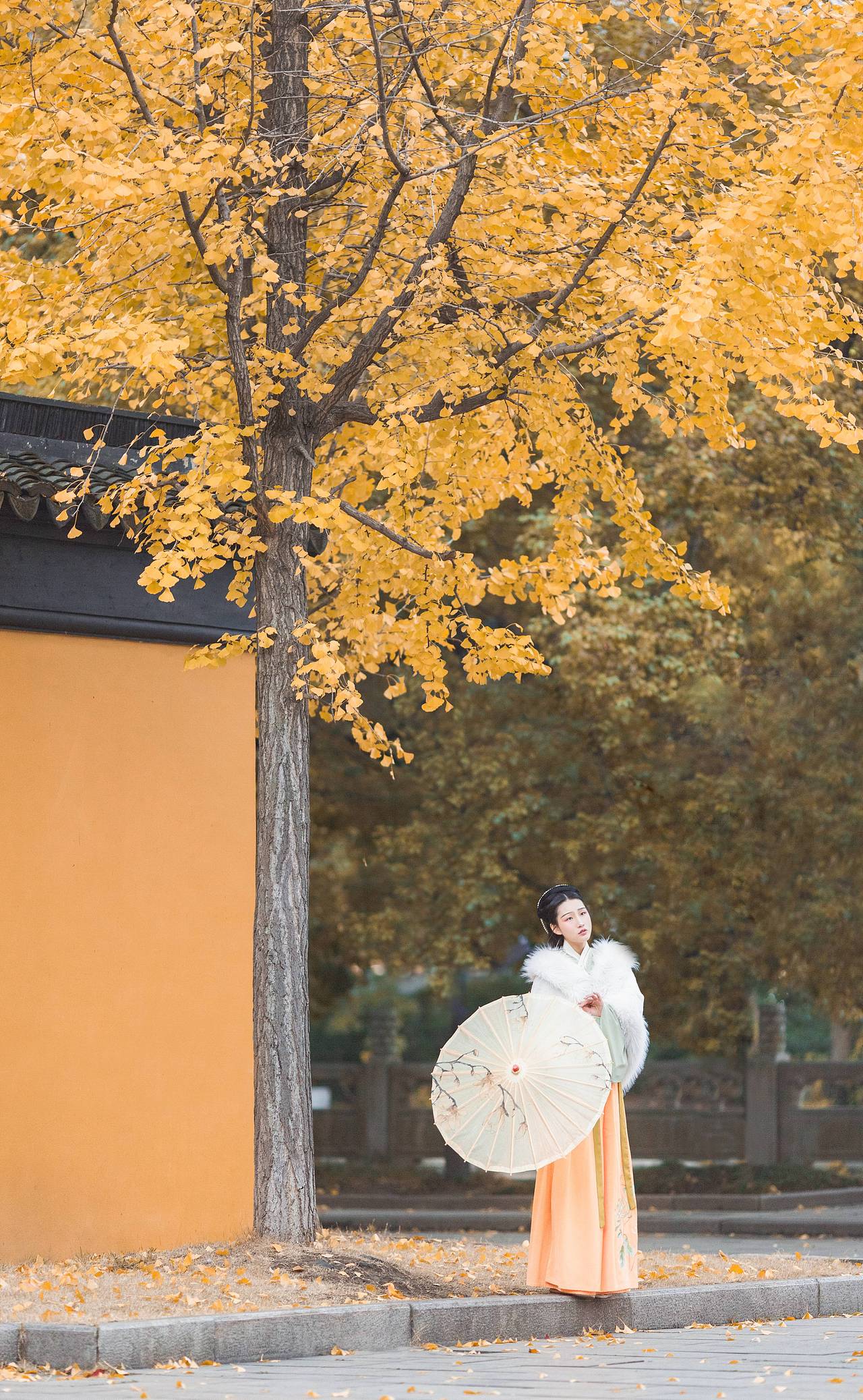 秋辞（图ZMTkyNzAyNDk2） - 人像摄影 - 站酷设计师沐灵儿原创素材 - 站酷ZCOOL