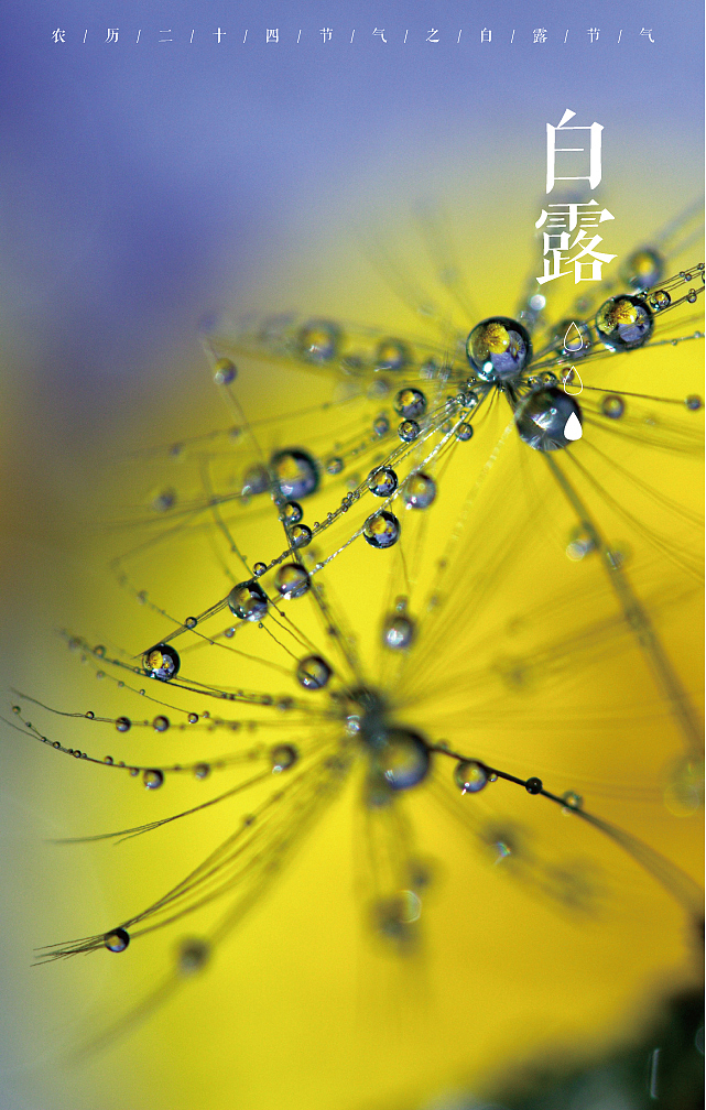 地产（图ZOTg1MTAxNjg=） - 其他平面 - 站酷设计师1海1洛1因1原创素材 - 站酷ZCOOL