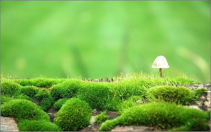 原创淘宝,网站轮播图