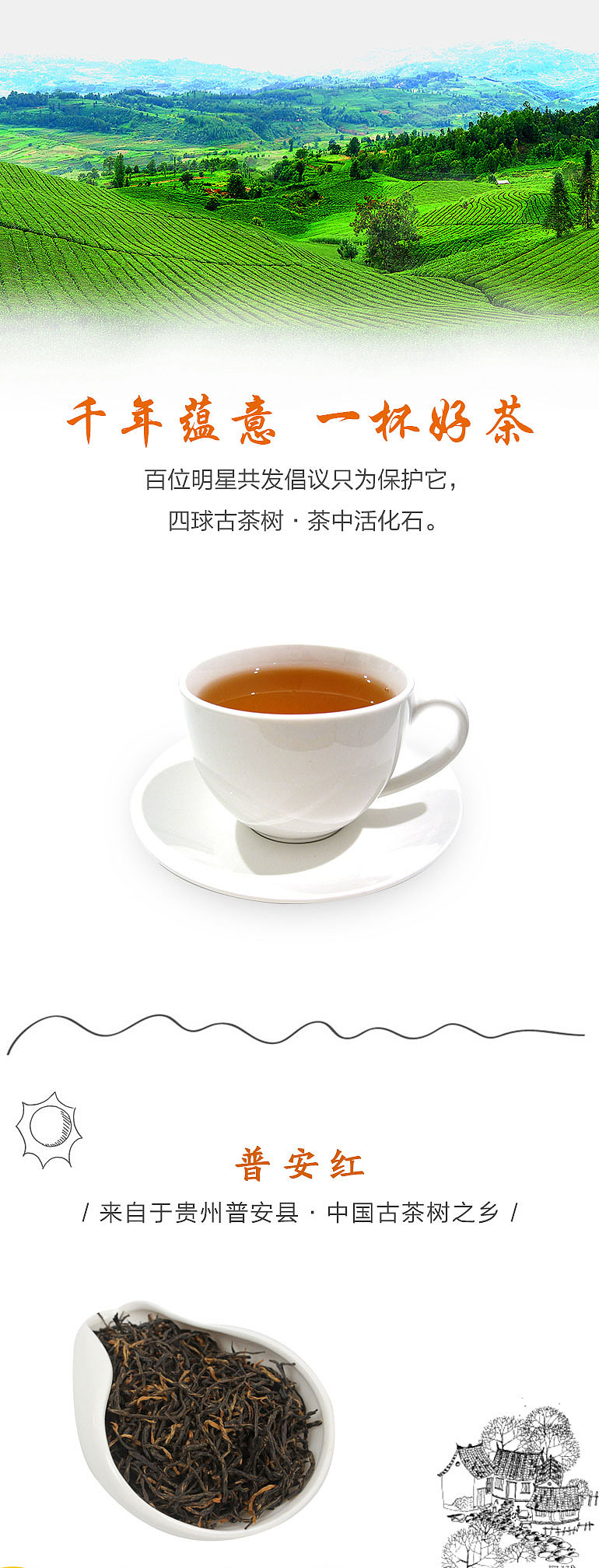 普安红古茶树（图ZODg4NDYyMjA=） - 宣传物料 - 站酷设计师龙观电商原创素材 - 站酷ZCOOL