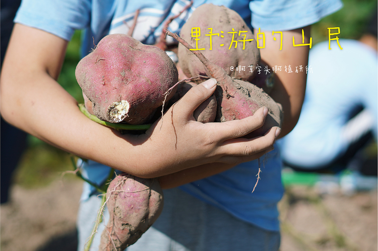 国庆营-野游的山民02