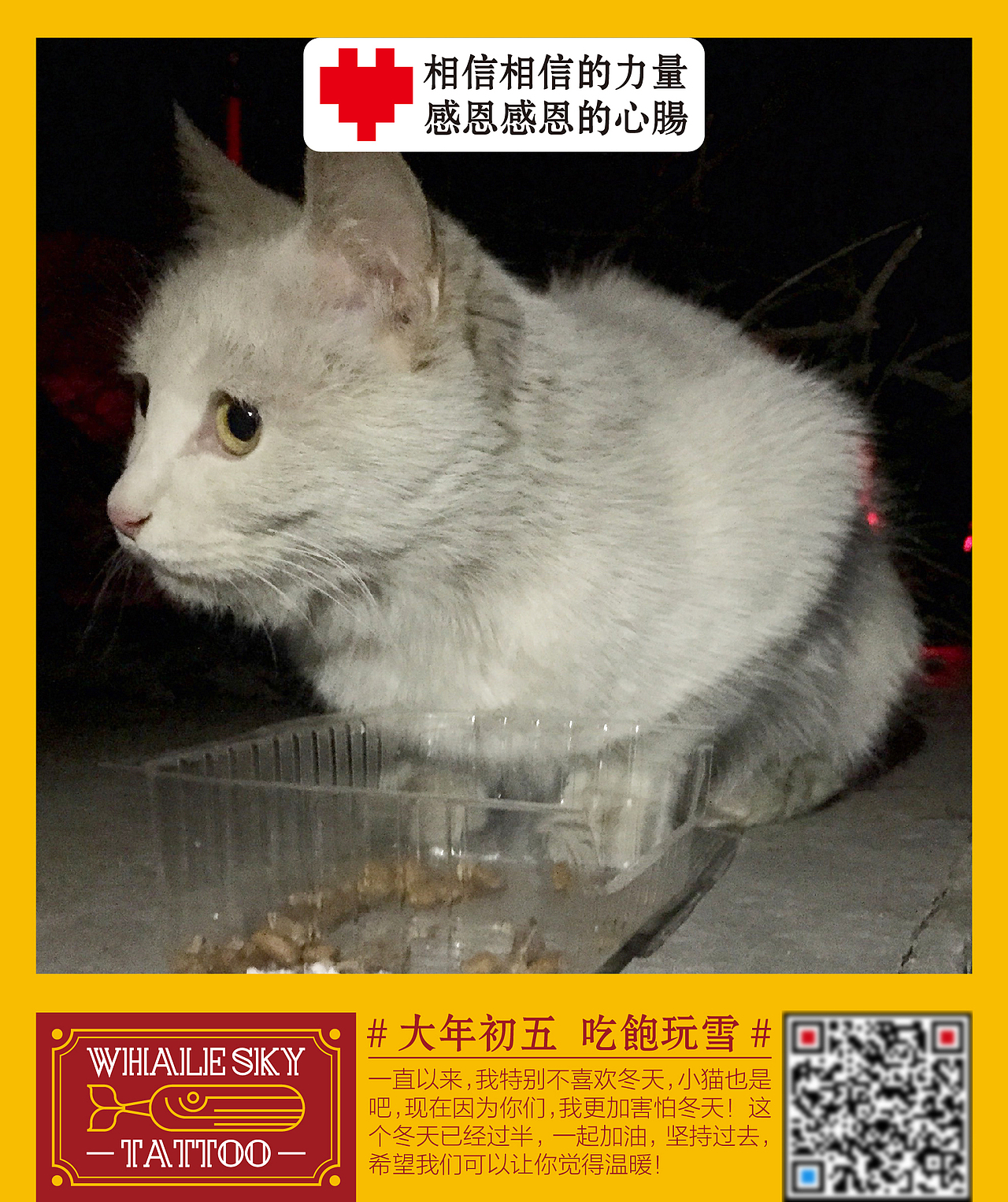 分享红包  请流浪小猫吃年饭活动海报