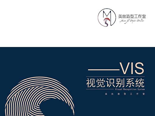 Visual Recognition System