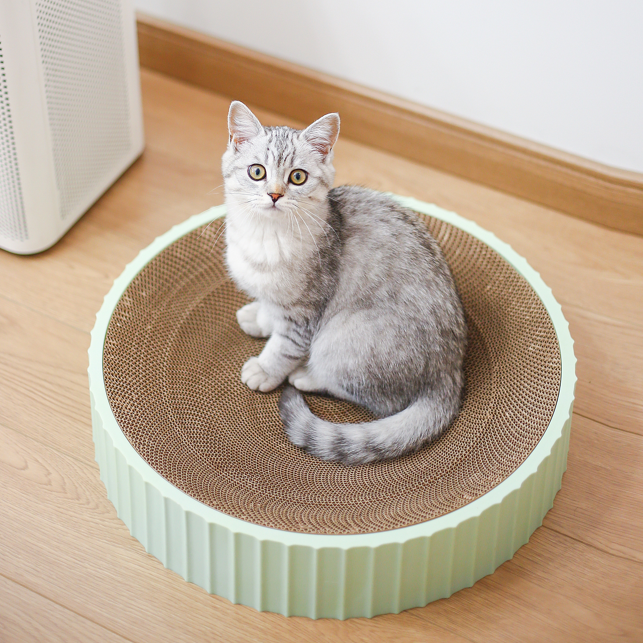 猫抓板猫窝的拍摄，感谢金主爸爸的信任~