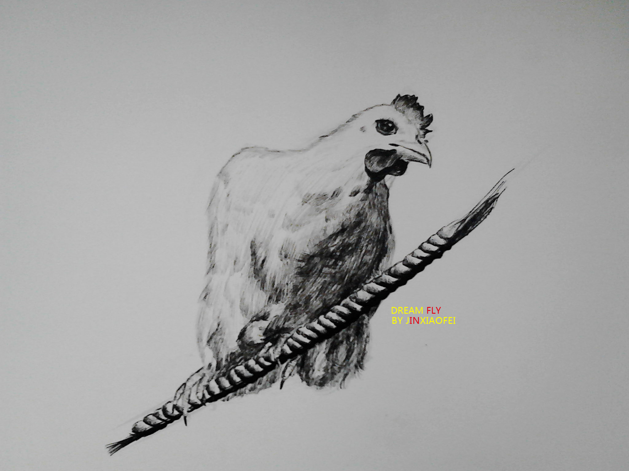 笔尖上----感情(小动物篇 中性笔)