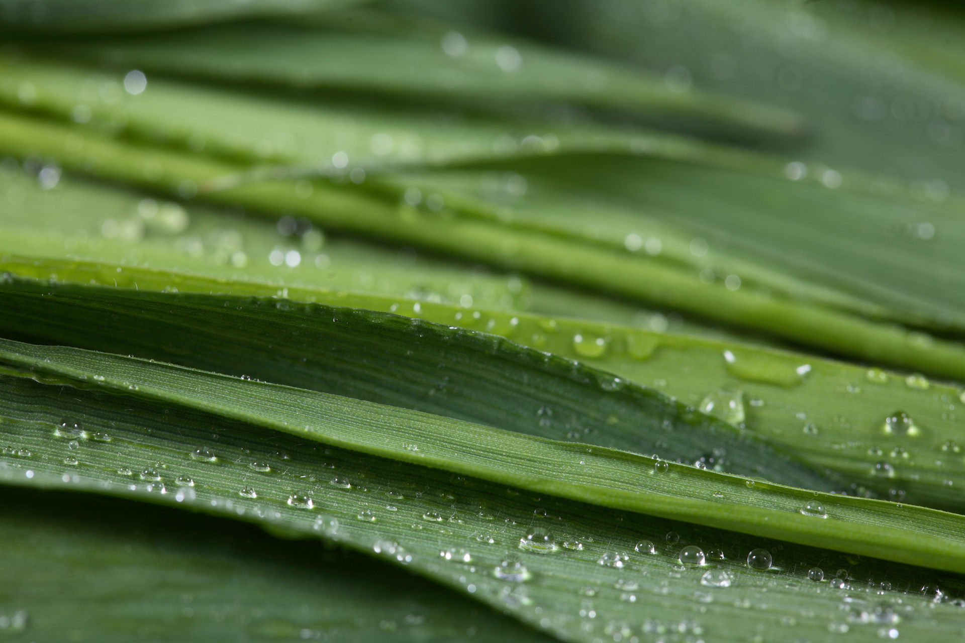 Rock1024的个人主页（封面预览） - 主页封面设置 - 站酷设计师Rock1024原创素材 - 站酷ZCOOL