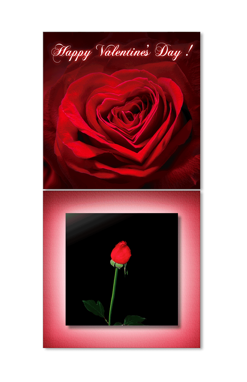 天鹅（图ZMjY3MDcyNzgw） - 其他平面 - 站酷设计师Candy006原创素材 - 站酷ZCOOL