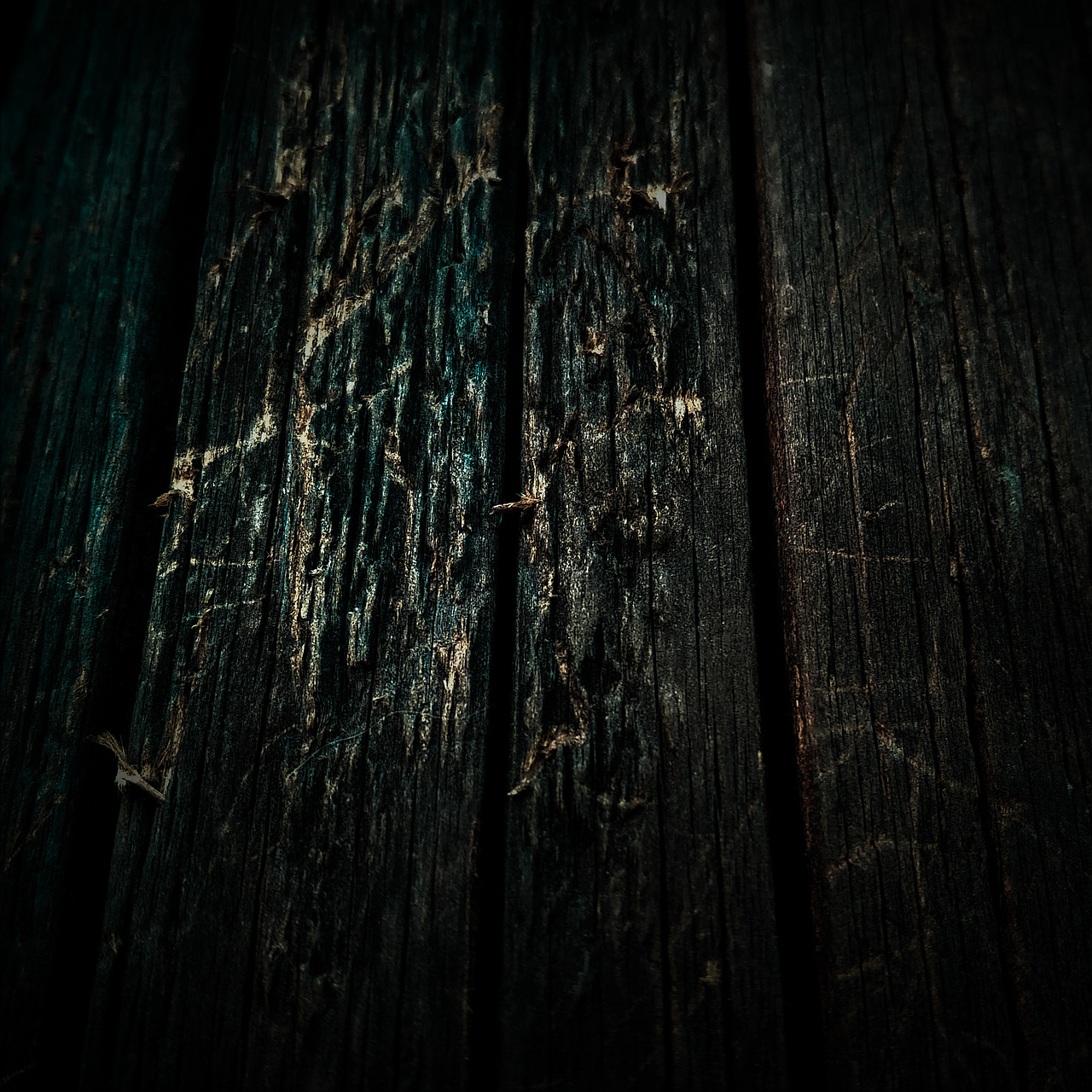 被忽视的自然美（图ZMTI0OTU3NzA0） - 风光摄影 - 站酷设计师Jauver原创素材 - 站酷ZCOOL