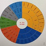 nerojuju的头像