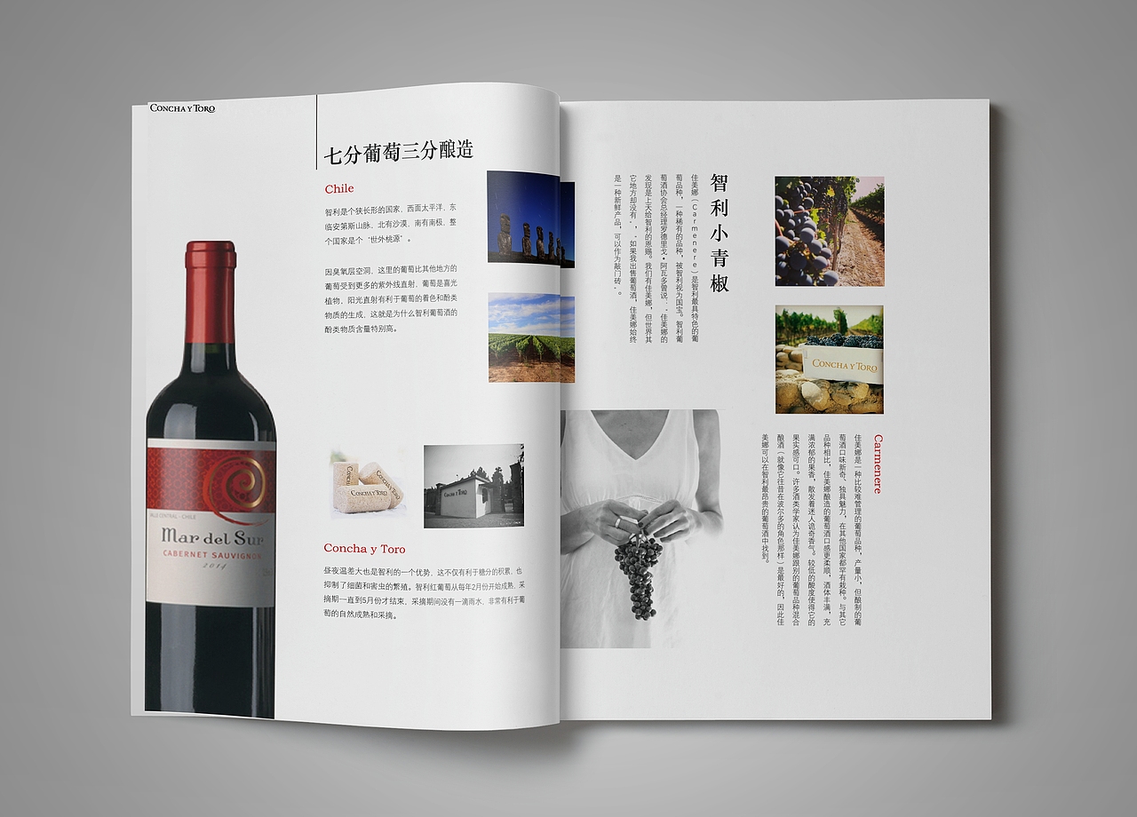 红酒葡萄酒画册 干露酒庄企业宣传册作业（图ZMTM4OTYwMzEy） - 书籍/画册 - 站酷设计师loliam原创素材 - 站酷ZCOOL