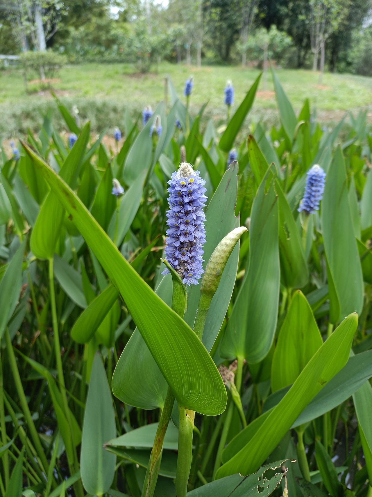 广东七星岩景区