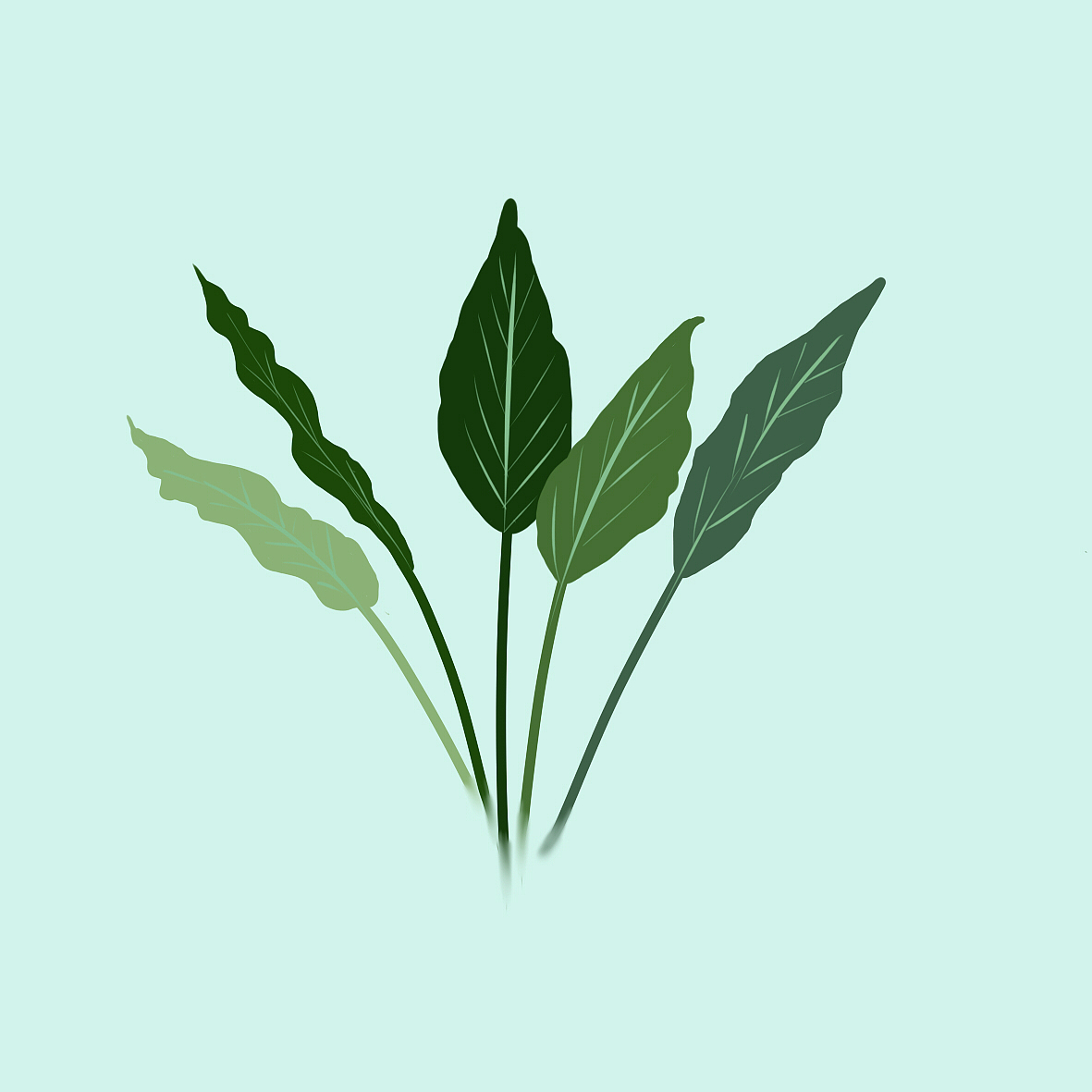 ins風植物扁平風練習（圖ZMjAyMzgwMDY4） - 創(chuàng)作習作 - 站酷設計師烏龍西柚子原創(chuàng)素材 - 站酷ZCOOL