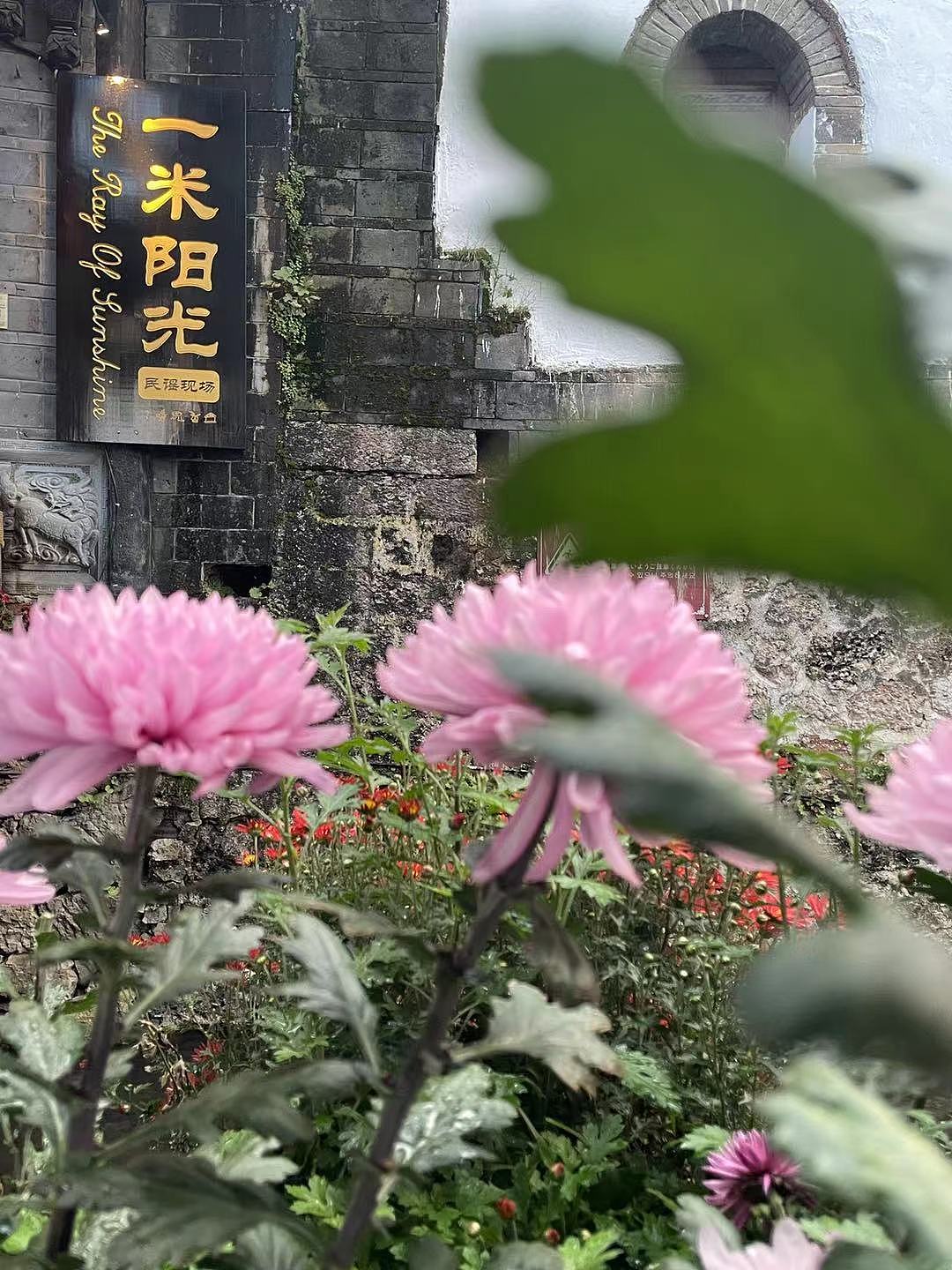 初见云南（图ZMjczNDA2Mjg4） - 风光摄影 - 站酷设计师Jolly啊T原创素材 - 站酷ZCOOL