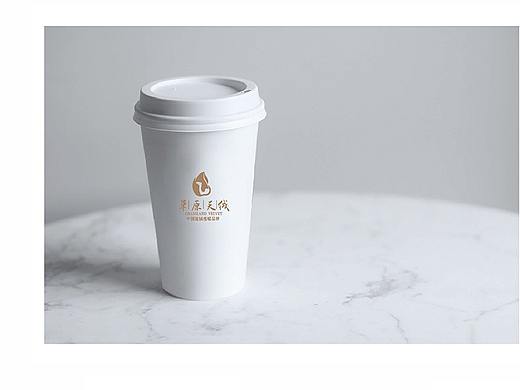 驼绒品牌VI系统规范  LOGO设计  VI手册