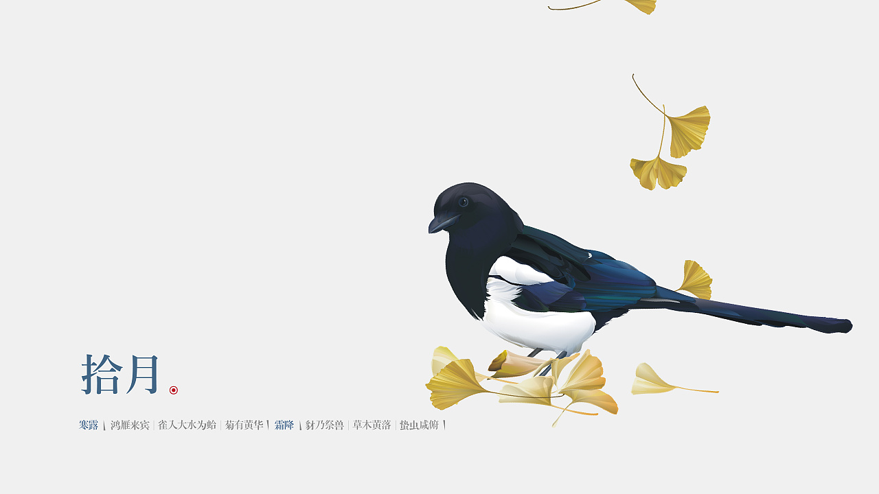 天琴山#11喜鹊 壹期壹会>|插画|商业插画|iccolee - 原创作品 - 站酷