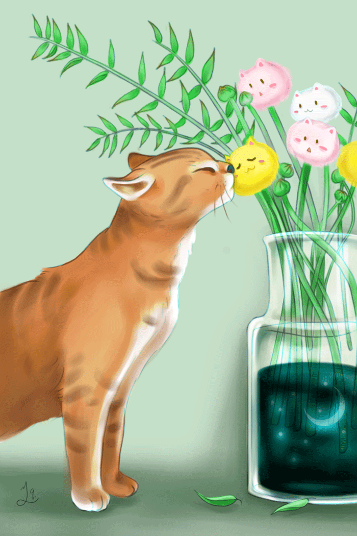 夏天的插画习作 - 原创作品 - 站酷(zcool)