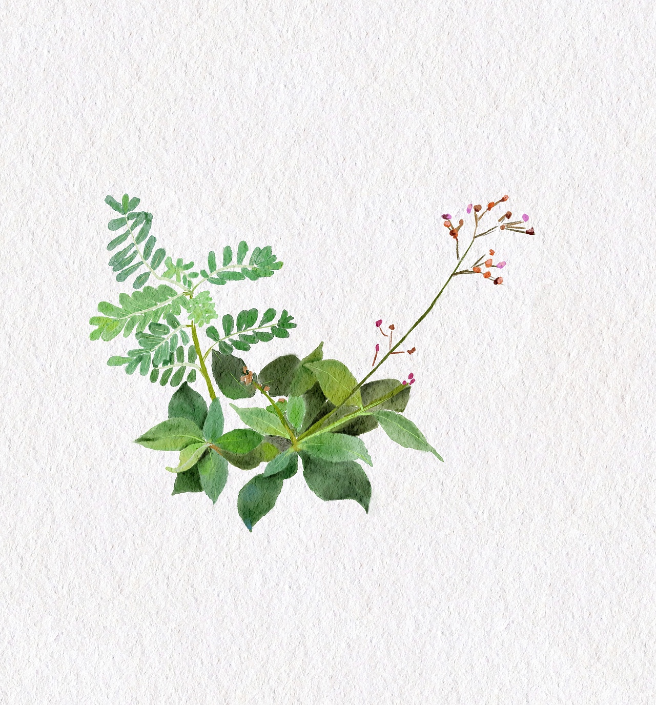 绘画透视训练法214448插画471毕业