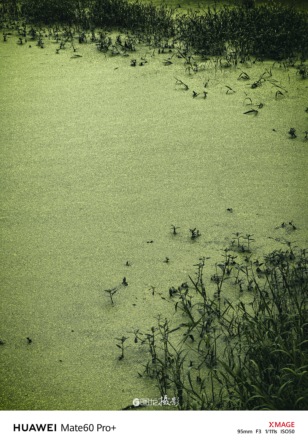治愈人心的乡野田间， 是关于我们的归属（图ZMzYwNDQ1NzQ4） - 风光摄影 - 站酷设计师图龙摄影原创素材 - 站酷ZCOOL