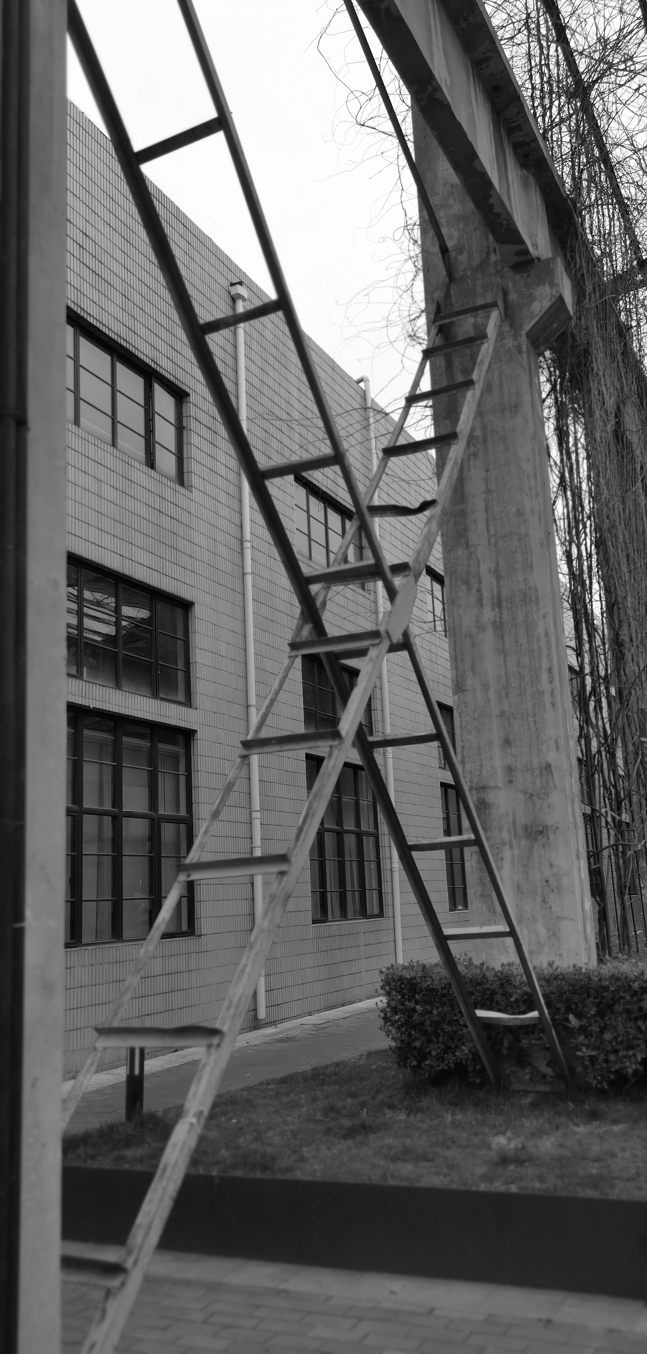 南京国家领军人才创业园随拍