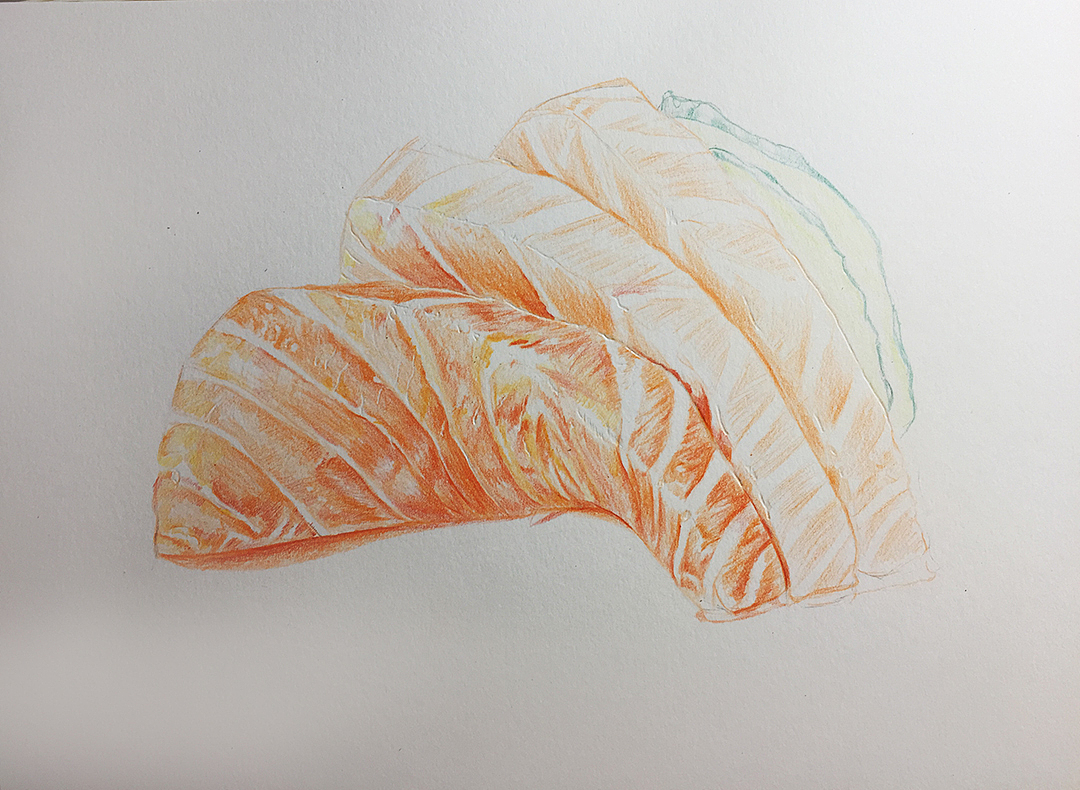 彩铅画《三文鱼》（图ZMTI1NjkxODc2） - 创作习作 - 站酷设计师CANDY倩儿原创素材 - 站酷ZCOOL