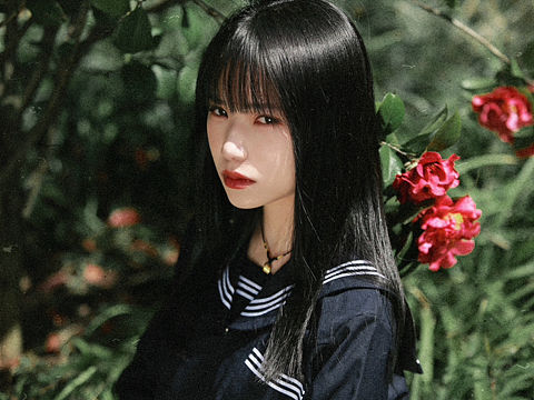 红山茶