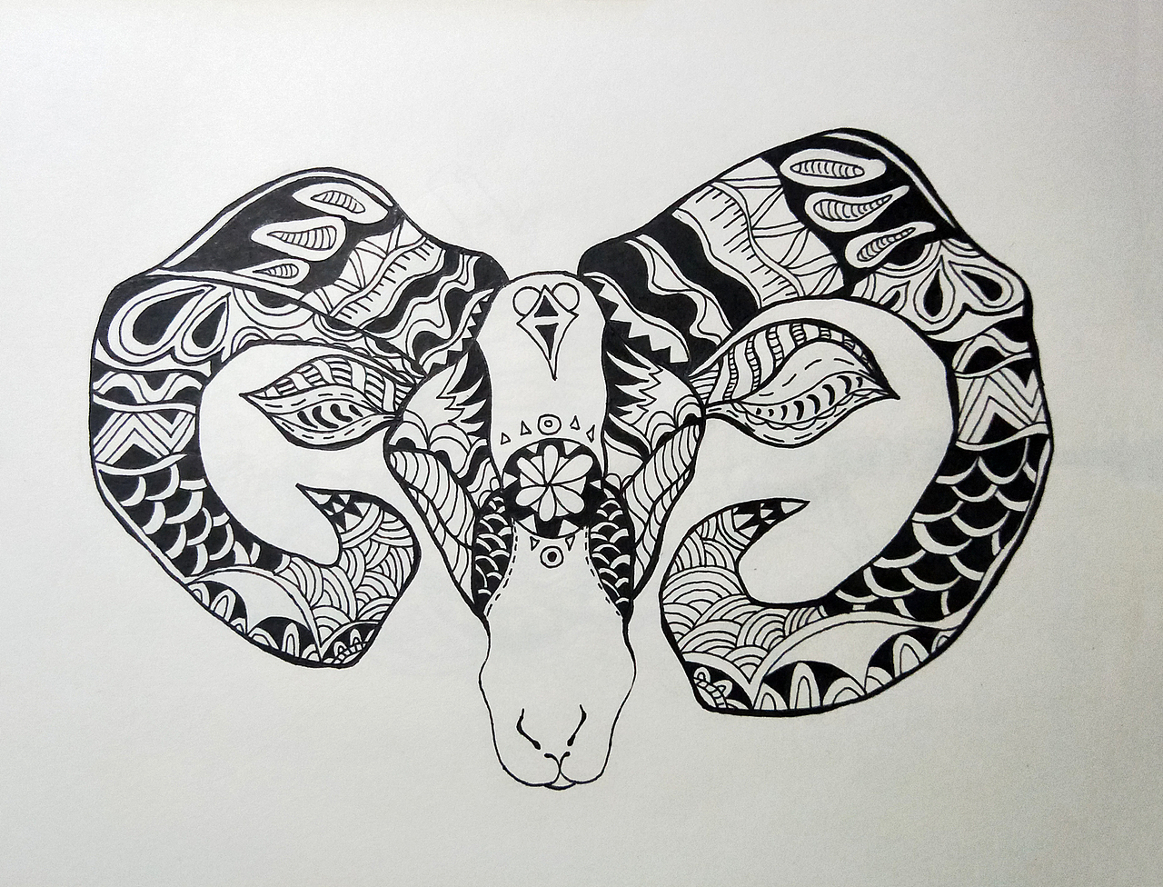 手绘黑白装饰插画（图ZMTI3NTQxODQw） - 创作习作 - 站酷设计师小惠惠Y原创素材 - 站酷ZCOOL