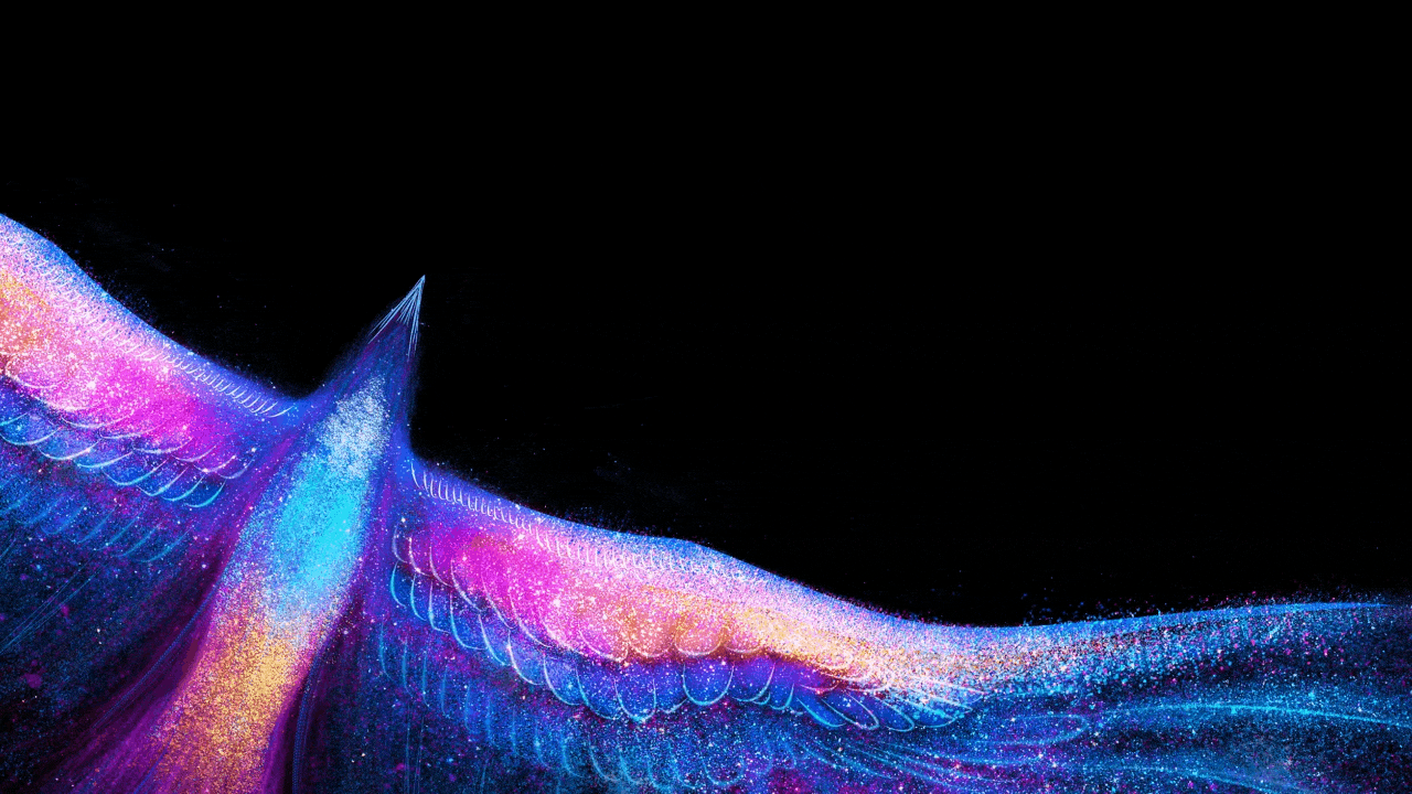 卡多希x佳简几何|直播行业新未来