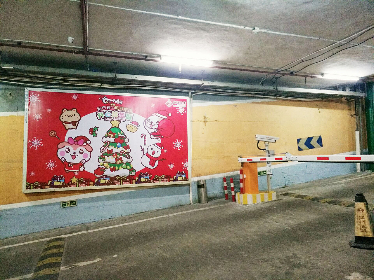 秋田君in流行前线过圣诞春节