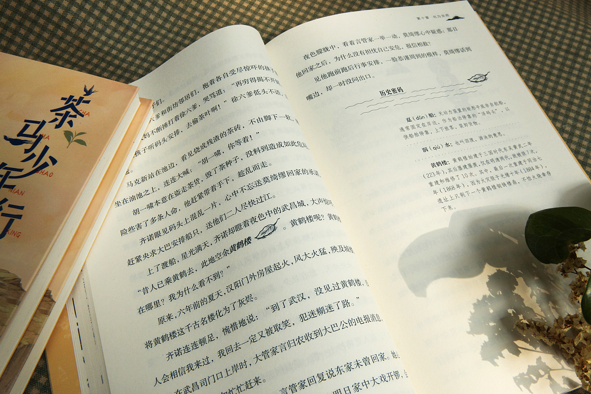 《茶马少年行》图书产品摄影