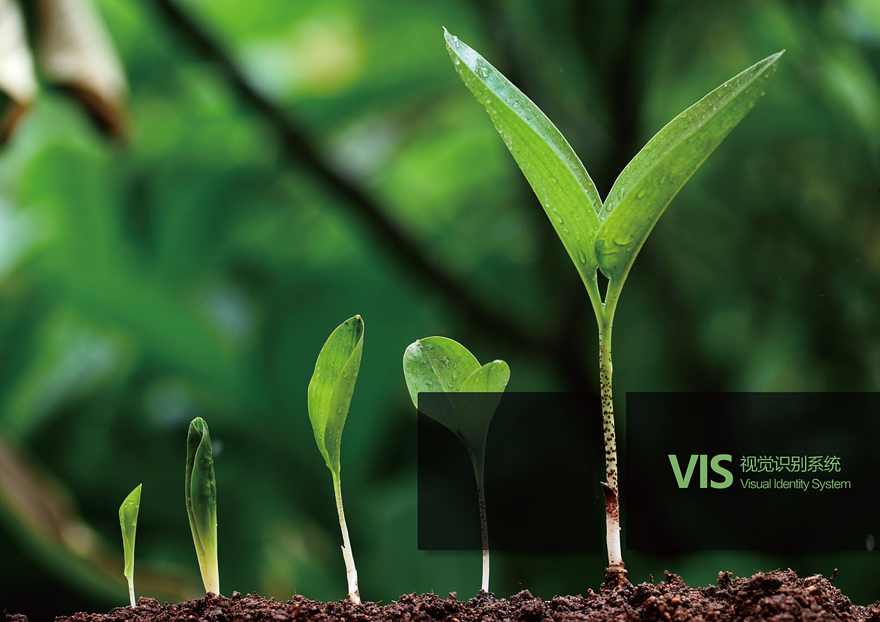 无锡连元英禾双语学校视觉体系规范化设计初稿（图ZMjE5NDkyMjg0） - Logo - 站酷设计师losakey原创素材 - 站酷ZCOOL