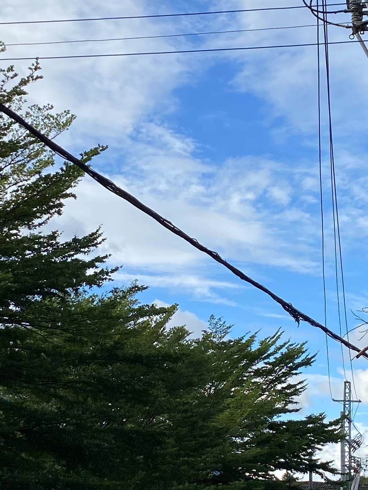 《心泛起了涟漪》