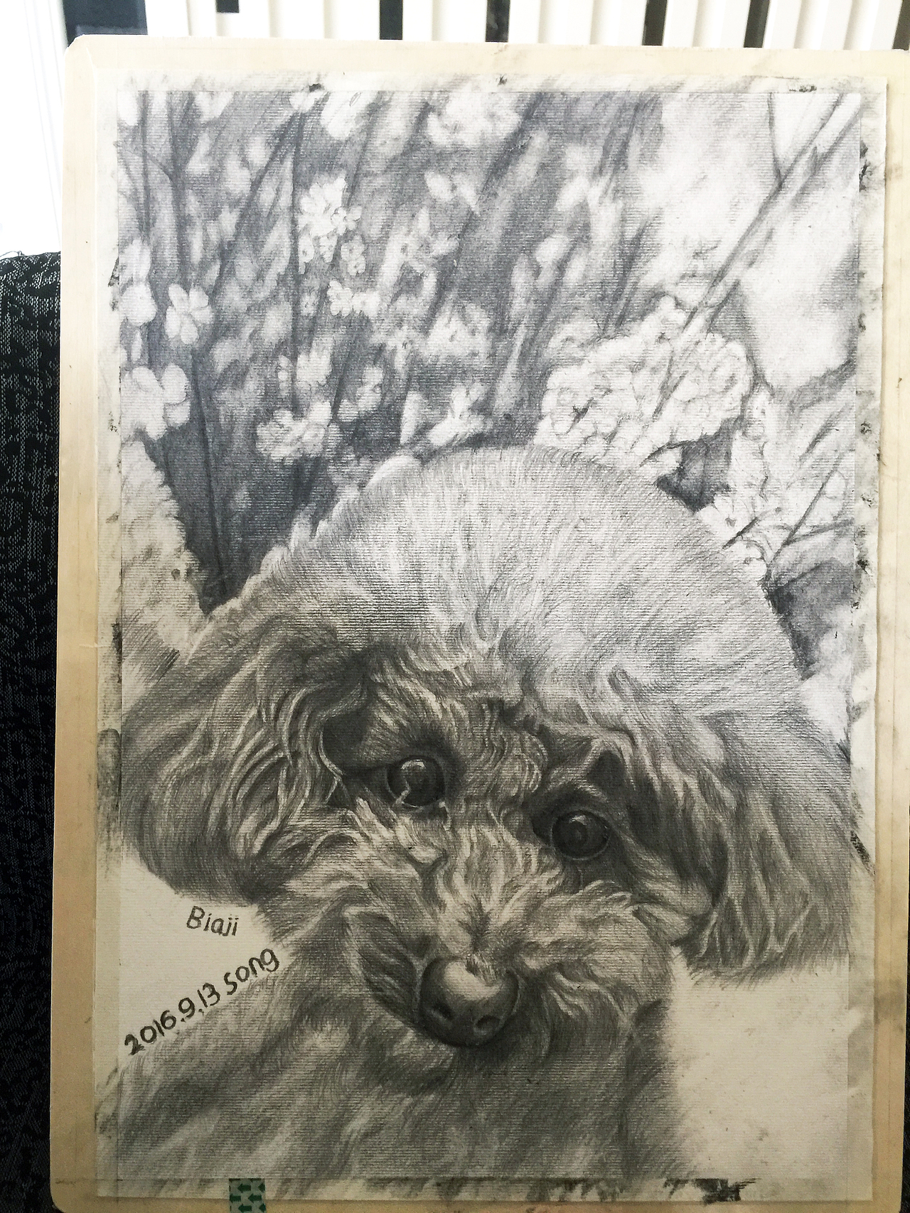 素描作品（图ZNzE2Njk0ODA=） - 像素画 - 站酷设计师立立思思原创素材 - 站酷ZCOOL