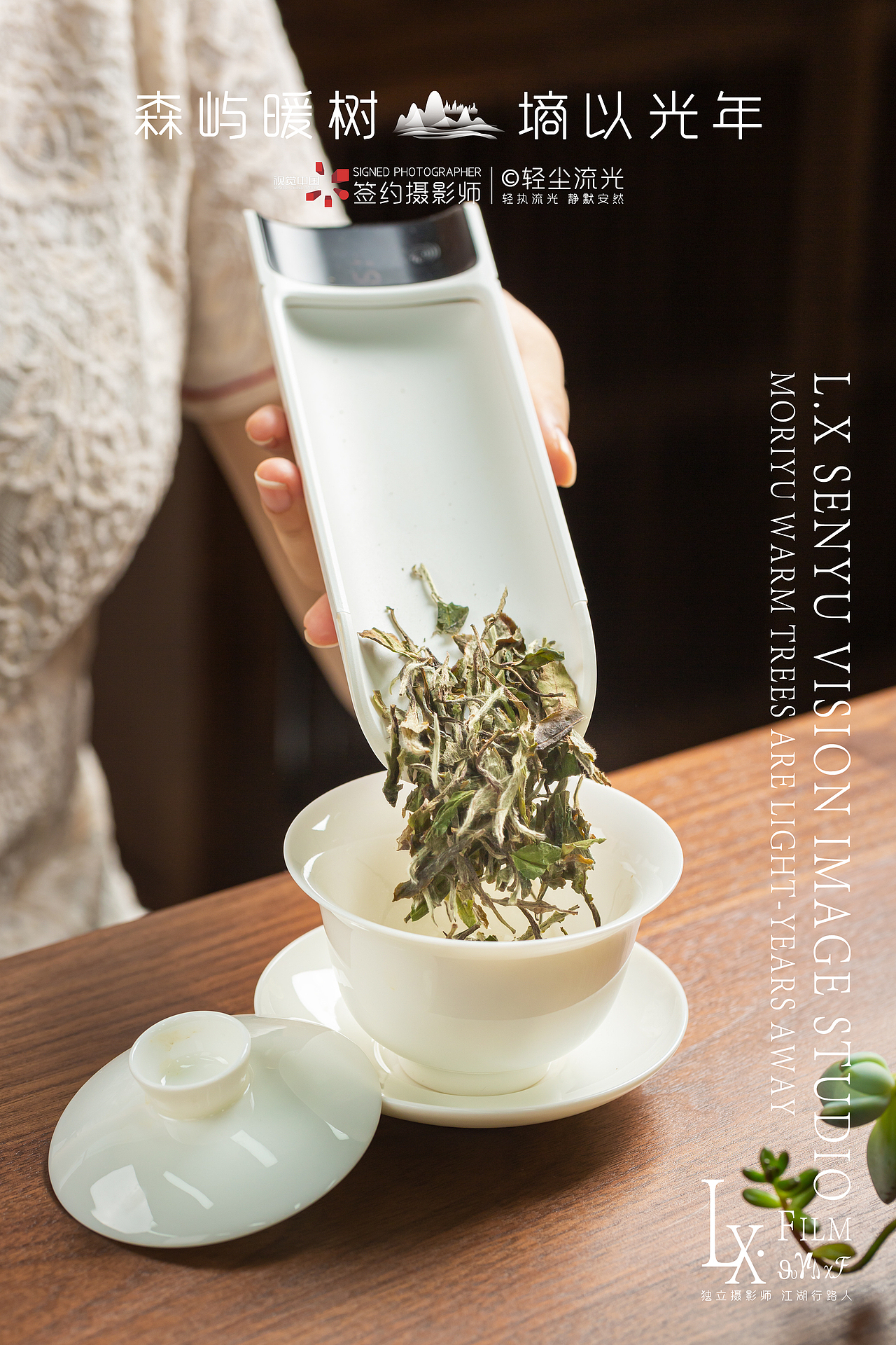 2016年二级白牡丹商业摄影