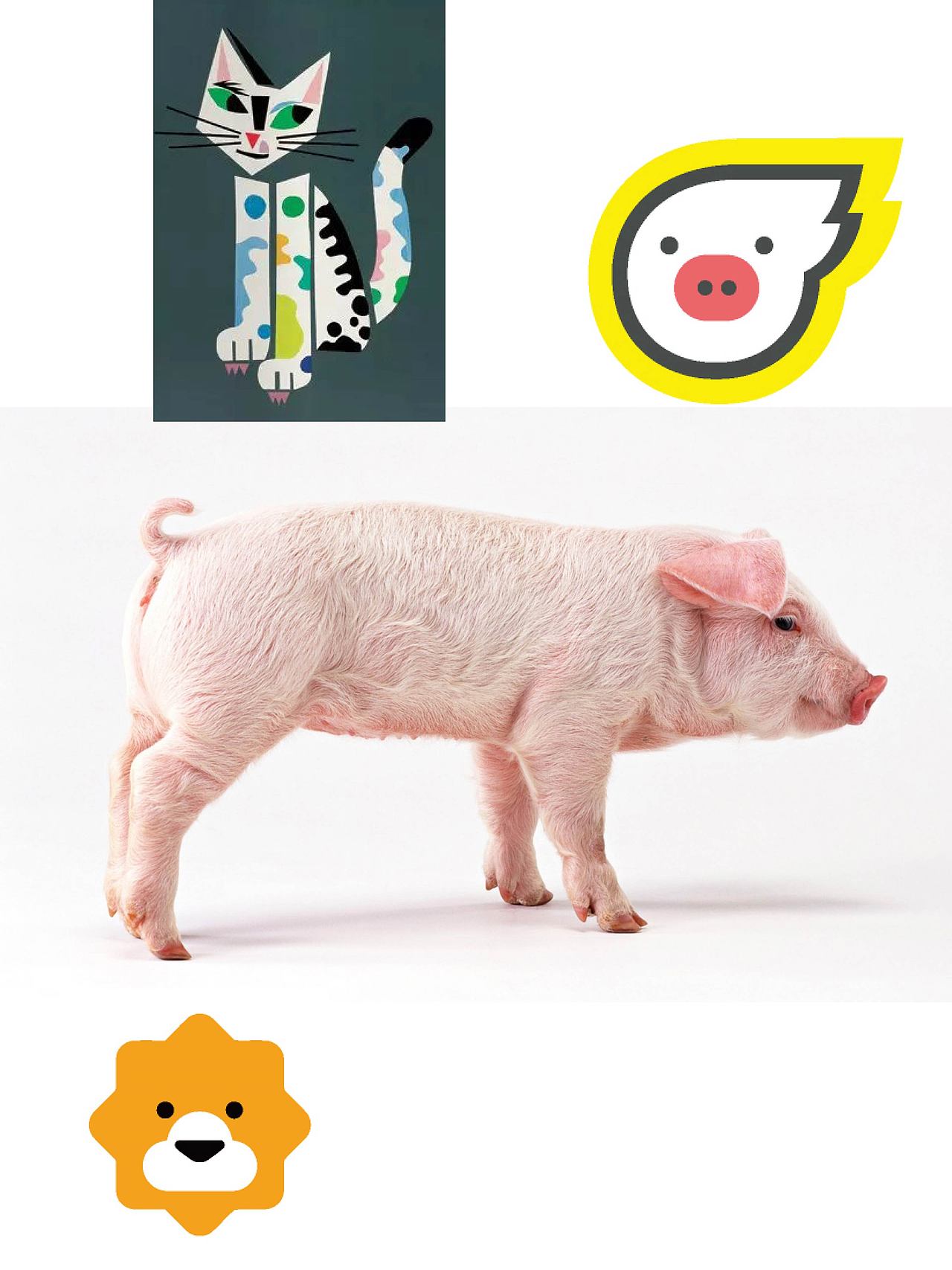 动物世界 萌宠头像设计 手机背景图片设计创意（图ZMzc5NjM0ODg0） - 实验艺术 - 站酷设计师无色为无原创设计原创素材 - 站酷ZCOOL