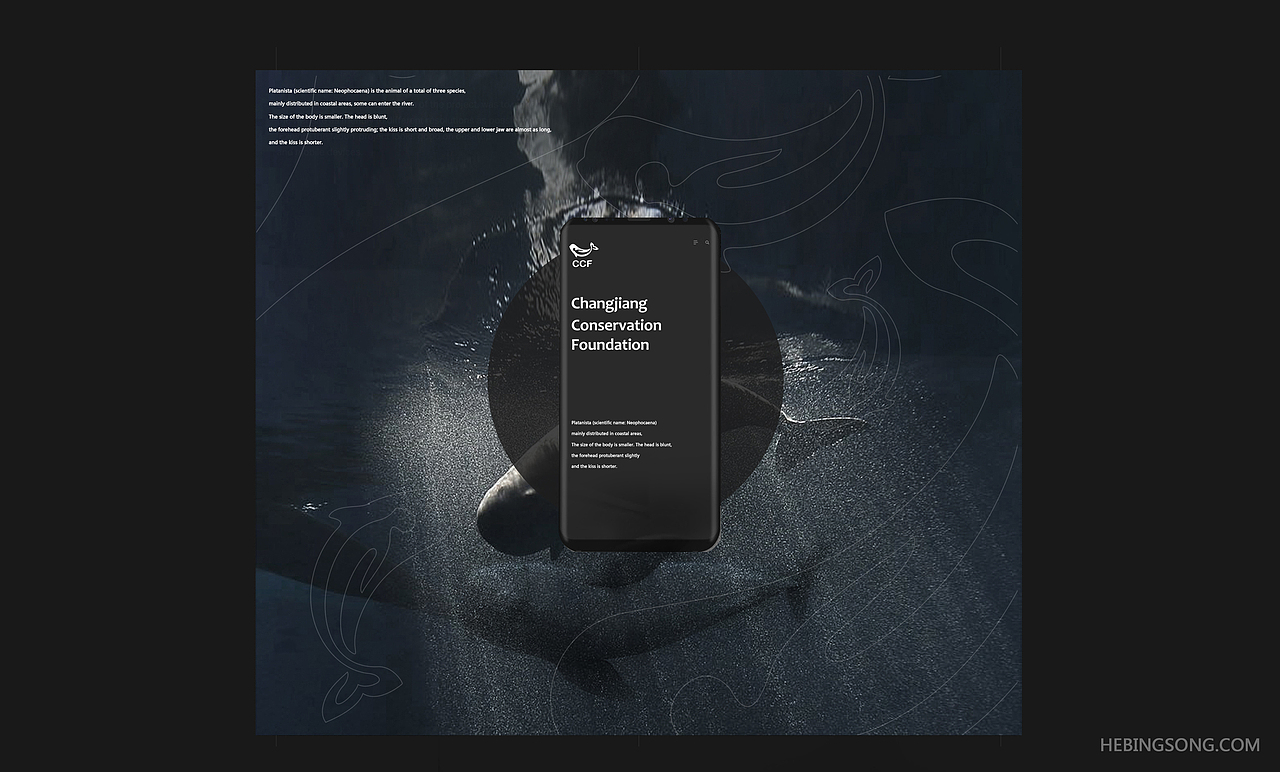 贺冰凇视觉艺术2017年合集