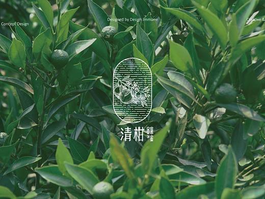 清柑陈皮品牌设计