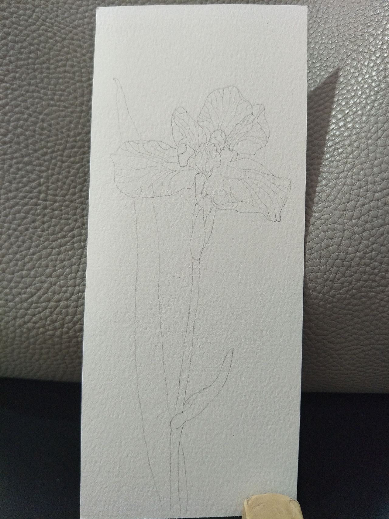 水彩画 书签一枚 鸢尾花◢紫（图ZODM5MDQ0MTI=） - 绘画 - 站酷设计师zjduoer原创素材 - 站酷ZCOOL