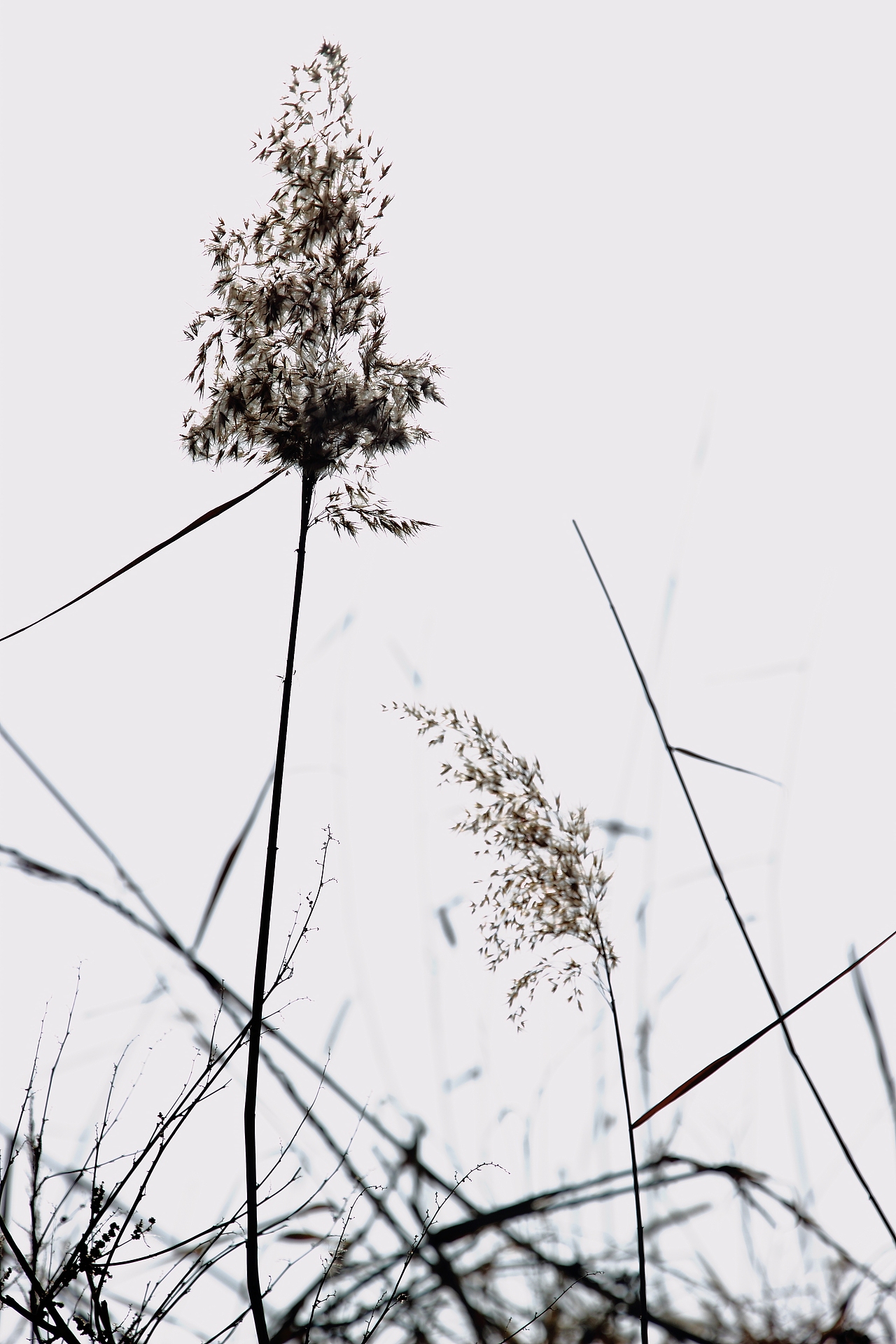 2017总结（图ZMTA4NTMwMjU2） - 风光摄影 - 站酷设计师七月凉风原创素材 - 站酷ZCOOL