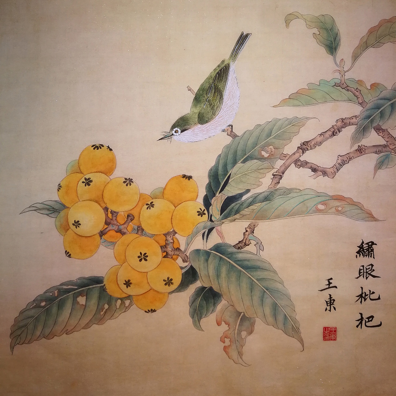 工笔画练习-白头丛竹图、果蔬来禽图、绣眼枇杷图