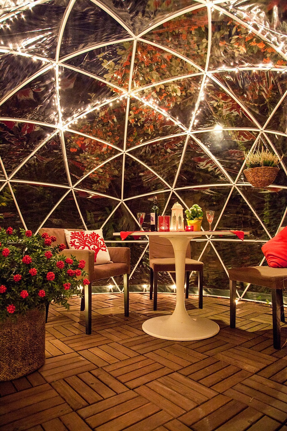 你的花园是全年防风雨的冰屋