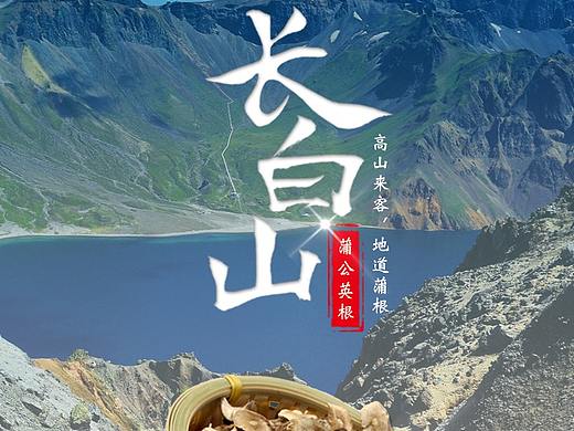 蒲公英根茶详情页