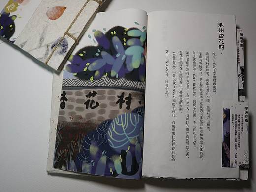 毕业设计1：安徽池州 “梦游杏花村”书籍设计
