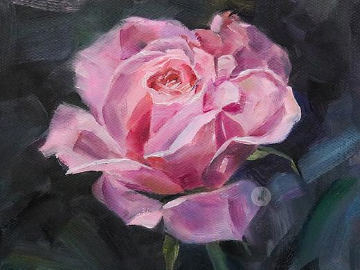 油画 粉玫瑰绘画步骤分享