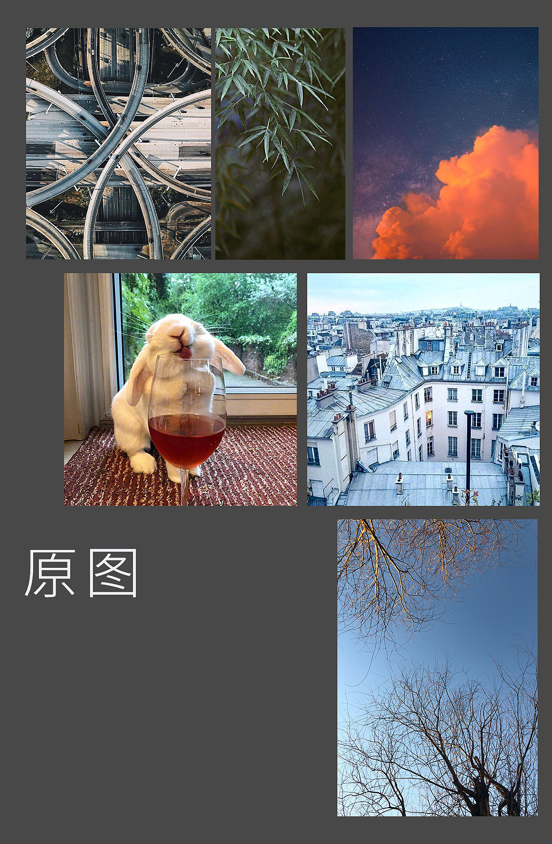 随手拍一张图变成海报（图ZMjU3NDgzNDMy） - 海报 - 站酷设计师大设郎本郎原创素材 - 站酷ZCOOL