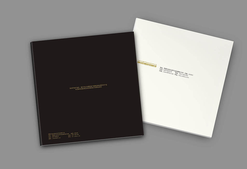 终端设计——天知（图ZODcxNzc2NDA=） - 品牌 - 站酷设计师Dinz平原创素材 - 站酷ZCOOL