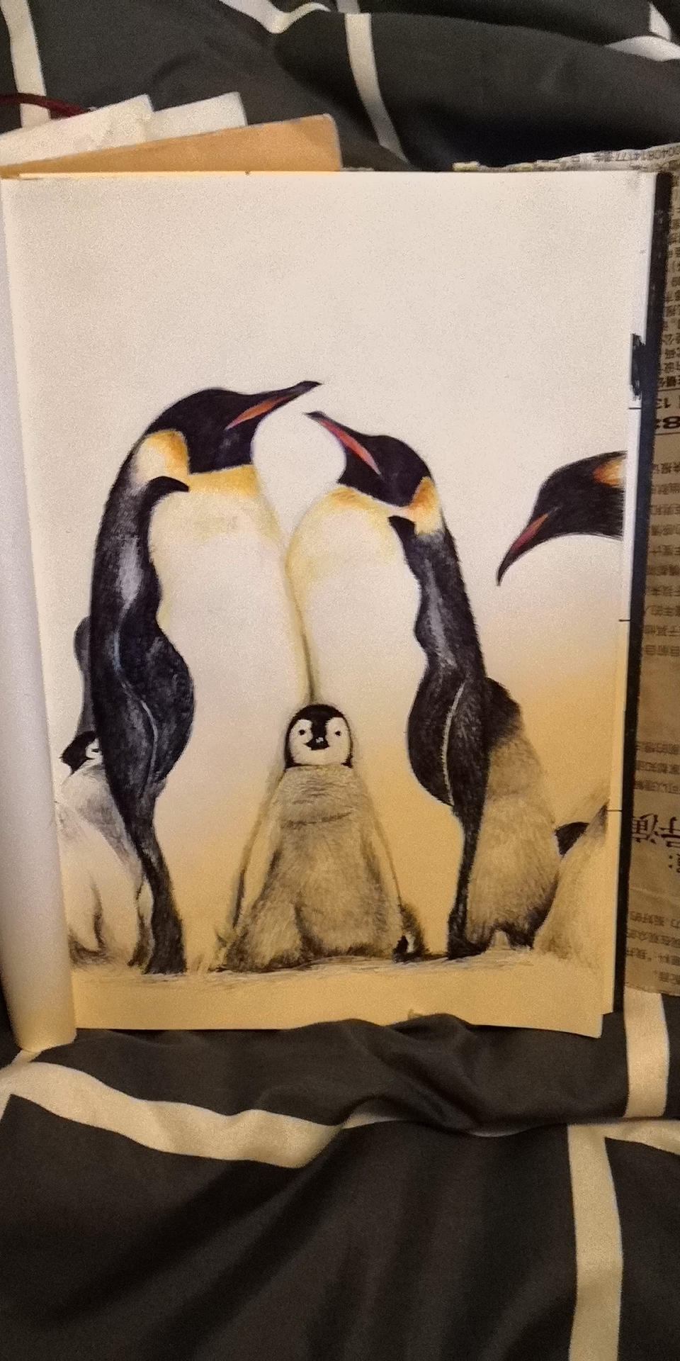 彩色圆珠笔-企鹅