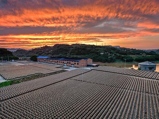 醋厂外拍｜醋中茅台